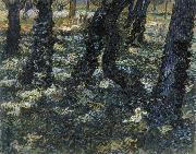 Vincent Van Gogh Undergrowth